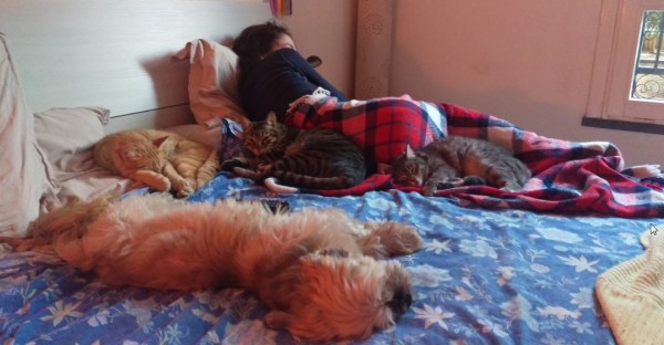 maschietti-a-quattro-zampe